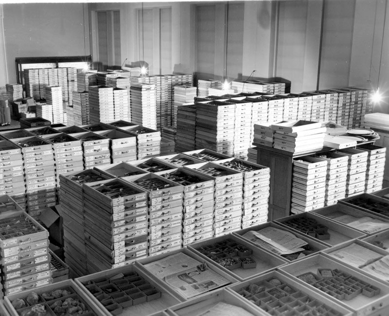 View of temporary storage for drawers of specimens from the Walker Collection of fossils including invertebrates from University of Chicago in preparation for cataloguing. Await their move into new permanent quarters now being constructed as an addition to the Museum building.