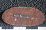 PP 58213 B