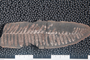 PP 58313 B