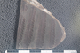 2018 Konecny Paleobotany fossil specimen