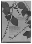 Field Museum photo negatives collection; Genève specimen of Salvia equadorensis Briq., ECUADOR, R. Spruce 5543, Type [status unknown], G