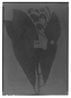 Field Museum photo negatives collection; Genève specimen of Gustavia augusta L., PERU, G. Tessmann 3410, G