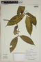 Herbarium SheetV0323686F
