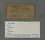 UC 56803 label