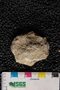 P 16955 single