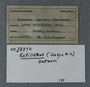 UC 38372 label