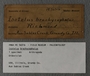 PE 56316 label