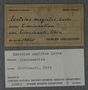 UC 18825 label