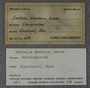 UC 456 A label