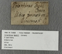 PE 54868 label