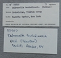 P 22507 A label