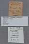 PE 55492 label