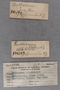 P 16785 label