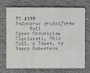 PE 4190 label