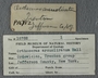 P 16782 label