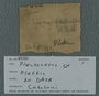 PE 89381 label