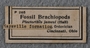 P 265 label