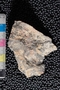 PP 22526 a-n