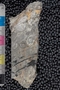 PP 22528 a1-n