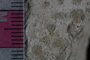 PP 23797 a-cu