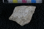 PP 23798 a-p