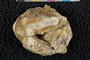 PP 23033 abc-p