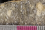 PP 23033 c-cu
