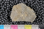 PP 23035a1-n