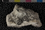 PP 23735 a-p