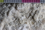 PP 23754 a-cu
