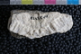 PP 23758 a-p