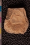 PP 18755 a-n