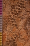 PP 18799 a-cu