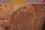 PP 18855 a-cu