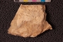 PP 18869 a-n