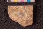 PP 18879 a-n