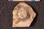 PP 19029 a-n