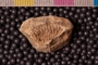 PP 19067 a-n