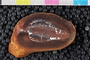 PE 42092 b-p