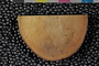 PE 47824 c-n