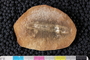 PE 11187 a-p
