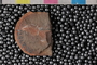 PE 27371 b-n
