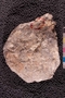 PP 23193 a-n