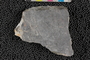 2018 Summer IMLS Ordovician Digitization Project. Fossil