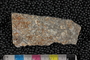 PP 17961 b-n
