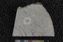 2018 Summer IMLS Ordovician Digitization Project. Fossil