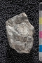 PP 22523 a-n