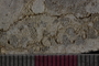 PP 23656 c-cu