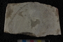 PP 23662 a-p