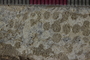 PP 23679 b-cu